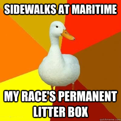 Sidewalks at Maritime My race's permanent litter box  Tech Impaired Duck