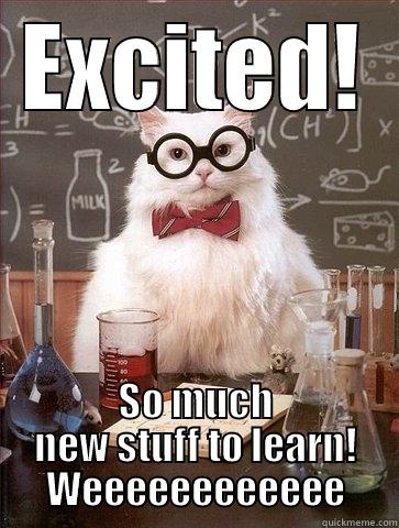 EXCITED! SO MUCH NEW STUFF TO LEARN! WEEEEEEEEEEEE Chemistry Cat