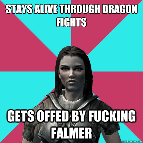 stays alive through dragon fights gets offed by fucking falmer  Lydia Skyrim Meme