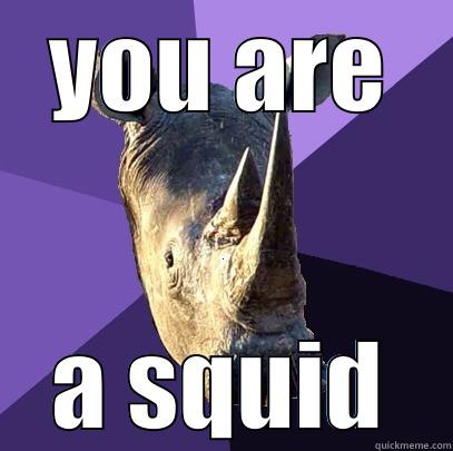 YOU ARE A SQUID Sexually Oblivious Rhino