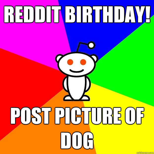 Reddit birthday! post picture of dog  Reddit Alien