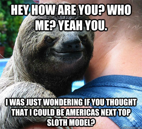 hey how are you? who me? yeah you. i was just wondering if you thought that i could be americas next top sloth model? - hey how are you? who me? yeah you. i was just wondering if you thought that i could be americas next top sloth model?  Suspiciously Evil Sloth