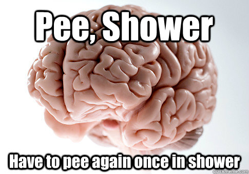 Pee, Shower Have to pee again once in shower  Scumbag Brain