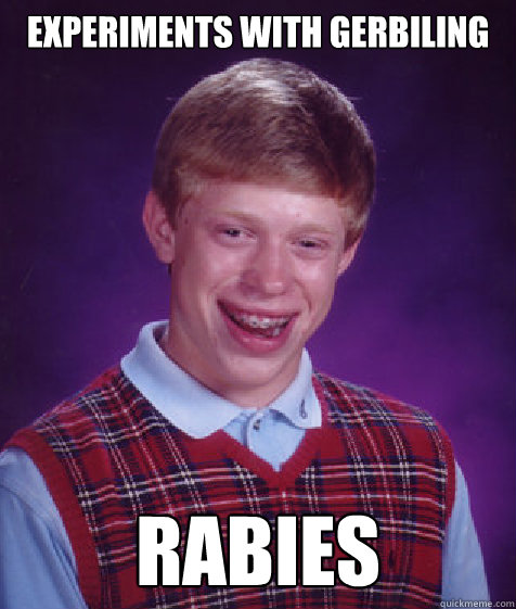 experiments with gerbiling rabies  Bad Luck Brian