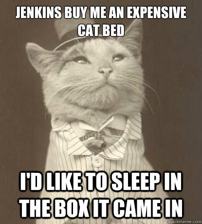 Jenkins buy me an expensive cat bed I'd like to sleep in the box it came in  