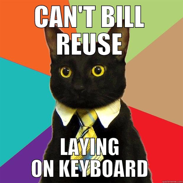 CAN'T BILL REUSE LAYING ON KEYBOARD Business Cat