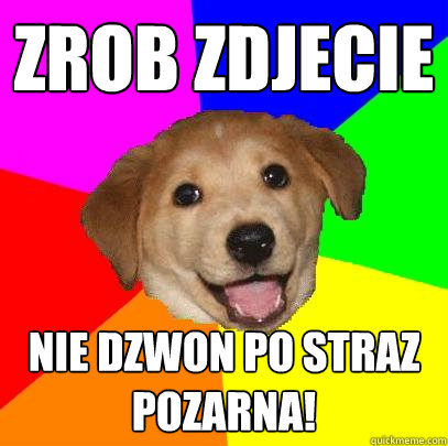 Zrob zdjecie nie dzwon po straz pozarna!  Advice Dog