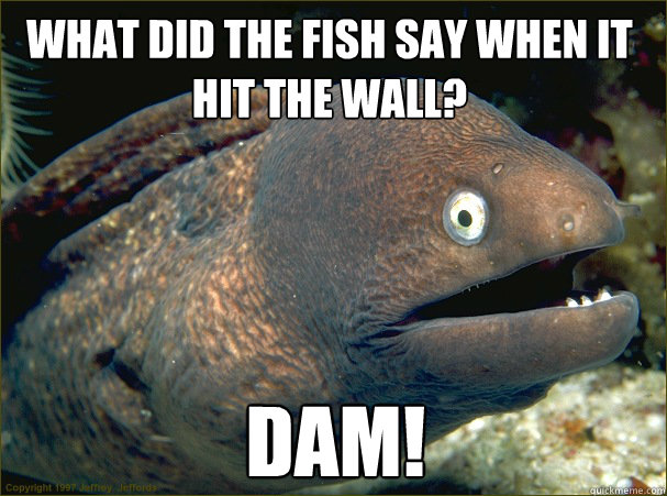 DAM! WHAT DID THE FISH SAY WHEN IT HIT THE WALL?  Bad Joke Eel