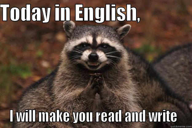 English class  - TODAY IN ENGLISH,               I WILL MAKE YOU READ AND WRITE  Evil Plotting Raccoon