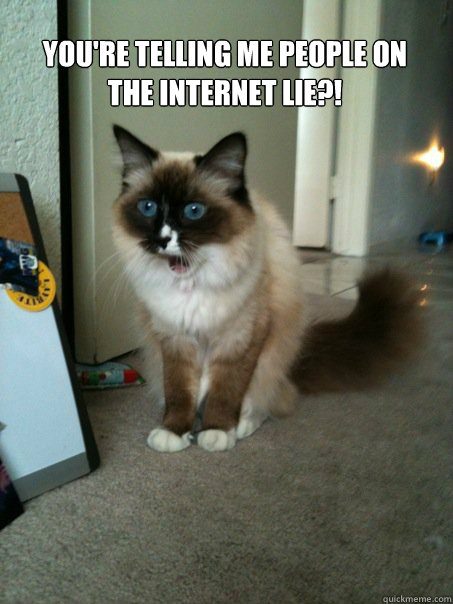 You're telling me people on the internet lie?! - You're telling me people on the internet lie?!  Misc