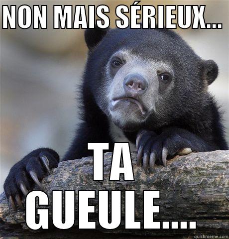 Lol bear - NON MAIS SÉRIEUX...  TA GUEULE.... Confession Bear