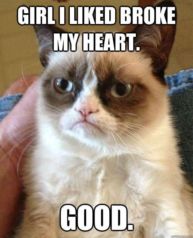 Girl I liked broke my heart. Good.  Grumpy Cat