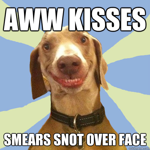 aww kisses smears snot over face  Disgusting Doggy