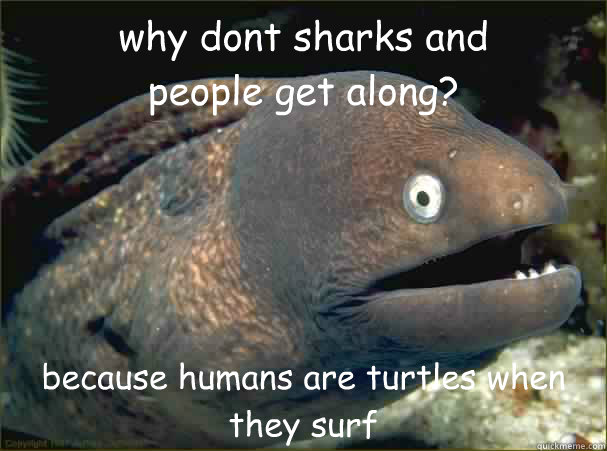 why dont sharks and
people get along? because humans are turtles when they surf - why dont sharks and
people get along? because humans are turtles when they surf  Bad Joke Eel