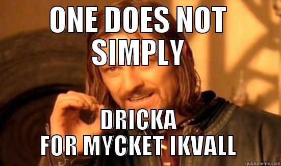 ONE DOES NOT SIMPLY DRICKA FOR MYCKET IKVALL Boromir