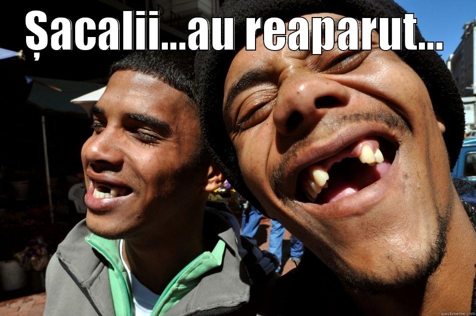 ȘACALI FUCK FUNNY LOL - ȘACALII...AU REAPARUT...  Misc