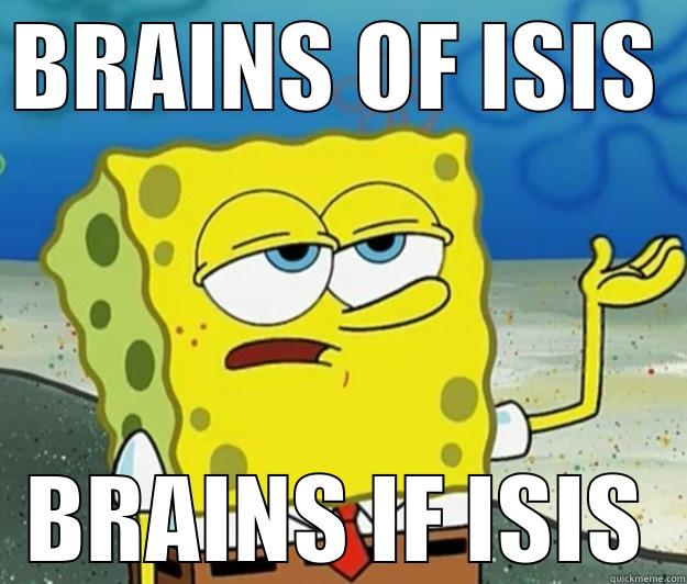 BRAINS OF ISIS BRAINS IF ISIS Tough Spongebob