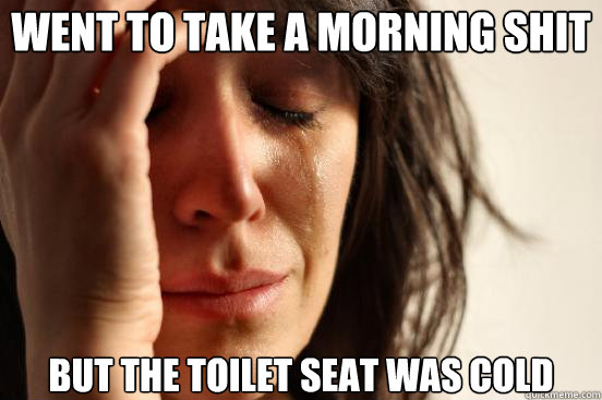 Went to take a morning shit  but the toilet seat was cold  First World Problems