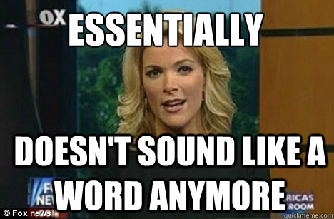 Essentially DOESN'T SOUND LIKE A WORD ANYMORE  Megyn Kelly