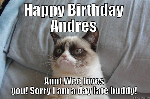 BAd Aunt - HAPPY BIRTHDAY ANDRES AUNT WEE LOVES YOU! SORRY I AM A DAY LATE BUDDY! Grumpy Cat