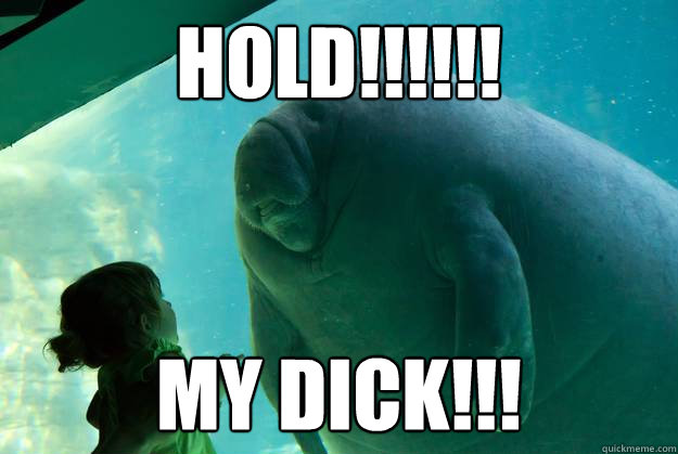 hold!!!!!! My dick!!! - hold!!!!!! My dick!!!  Overlord Manatee