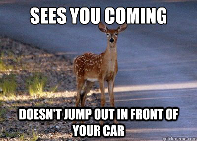 Sees you coming Doesn't jump out in front of your car  