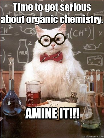 Time to get serious
about organic chemistry. AMINE IT!!! - Time to get serious
about organic chemistry. AMINE IT!!!  Chemistry Cat