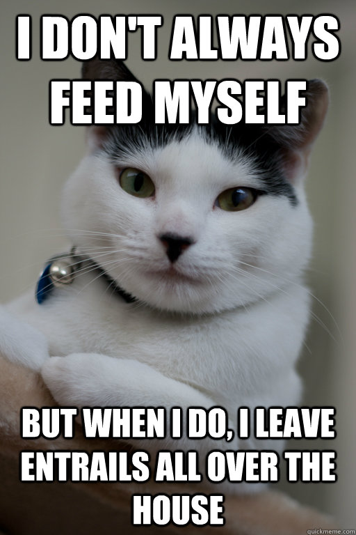 I don't always feed myself but when I do, I leave entrails all over the house - I don't always feed myself but when I do, I leave entrails all over the house  Misc