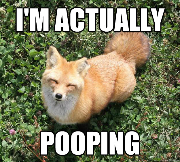 I'm actually Pooping - I'm actually Pooping  Awkward Fox