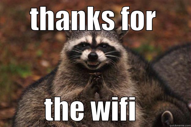 THANKS FOR THE WIFI  Evil Plotting Raccoon