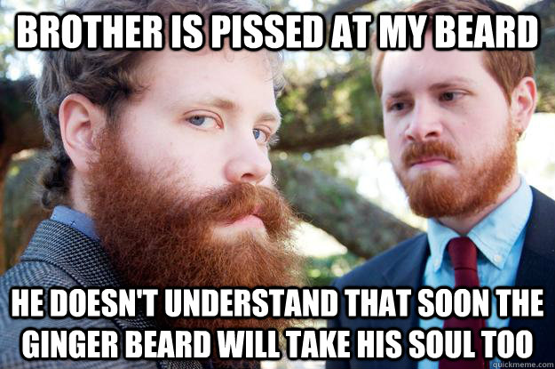 Brother Is Pissed At My Beard He Doesnt Understand That Soon The Ginger Beard Will Take His 9503