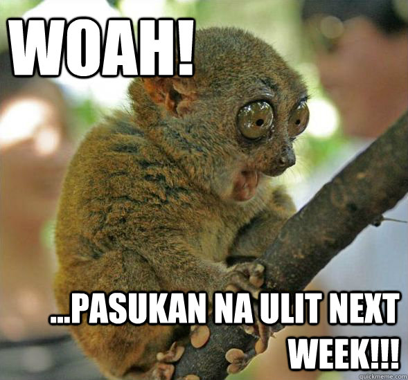 WOAH! ...Pasukan na ulit next week!!!  Sudden Clarity Tarsier