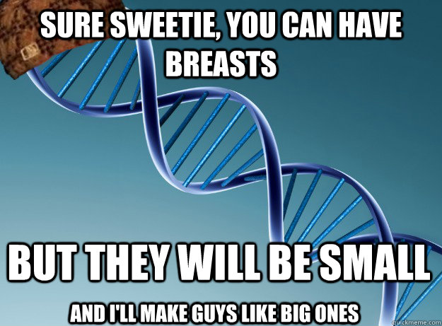 Sure sweetie, you can have breasts But they will be small And I'll make guys like big ones - Sure sweetie, you can have breasts But they will be small And I'll make guys like big ones  Scumbag Genetics