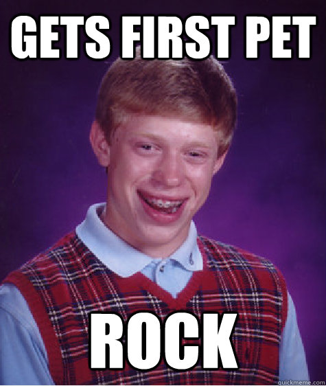 Gets first pet Rock  Bad Luck Brian