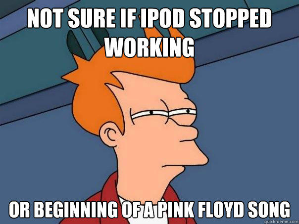 Not sure if Ipod stopped working Or beginning of a Pink Floyd song  