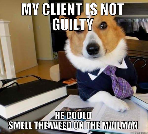 MY CLIENT IS NOT GUILTY HE COULD SMELL THE WEED ON THE MAILMAN Lawyer Dog