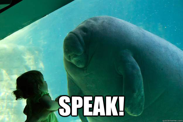  speak!  Overlord Manatee