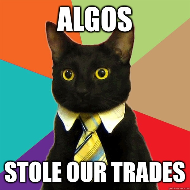 Algos Stole our trades  Business Cat