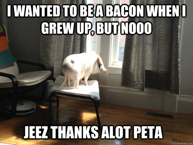 i wanted to be a bacon when i grew up, but nooo jeez thanks alot peta - i wanted to be a bacon when i grew up, but nooo jeez thanks alot peta  Regret Pig