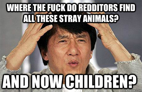 Where the fuck do redditors find all these stray animals? And now children?  EPIC JACKIE CHAN