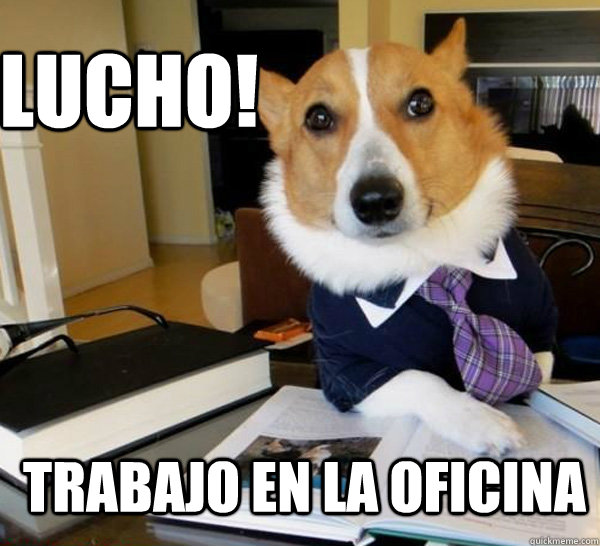 Lucho! TRABAJO EN LA OFICINA - Lucho! TRABAJO EN LA OFICINA  Lawyer Dog