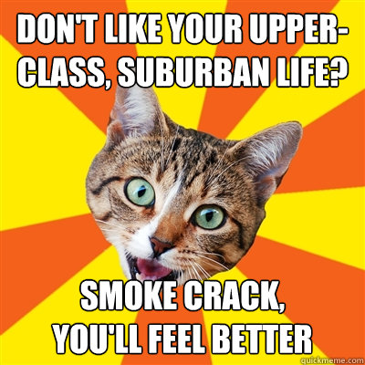 Don't like your upper-class, suburban life? SMOKE CRACK, 
YOU'LL FEEL BETTER  Bad Advice Cat