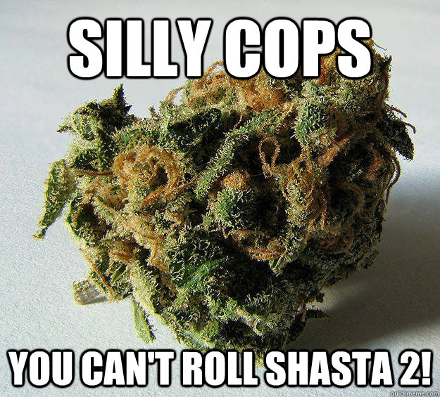 Silly Cops You can't roll Shasta 2! - Silly Cops You can't roll Shasta 2!  CSU CHICO