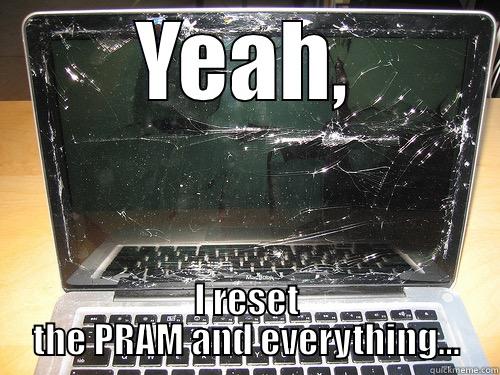 troubleshooting consult - YEAH, I RESET THE PRAM AND EVERYTHING... Misc
