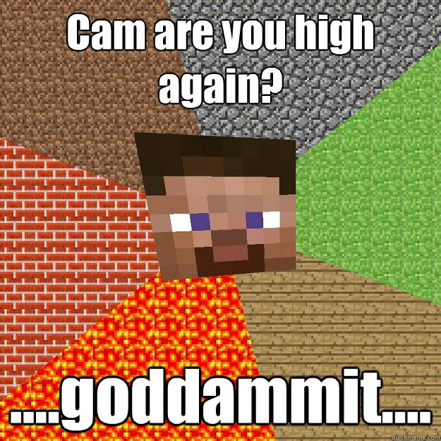 Cam are you high again? ....goddammit....  Minecraft