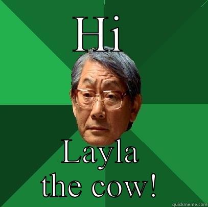 HI LAYLA THE COW! High Expectations Asian Father