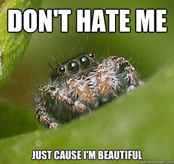 DON'T HATE ME Just cause I'm beautiful  Misunderstood Spider