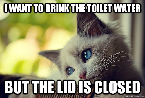 I want to drink the toilet water but the lid is closed  First World Problems Cat