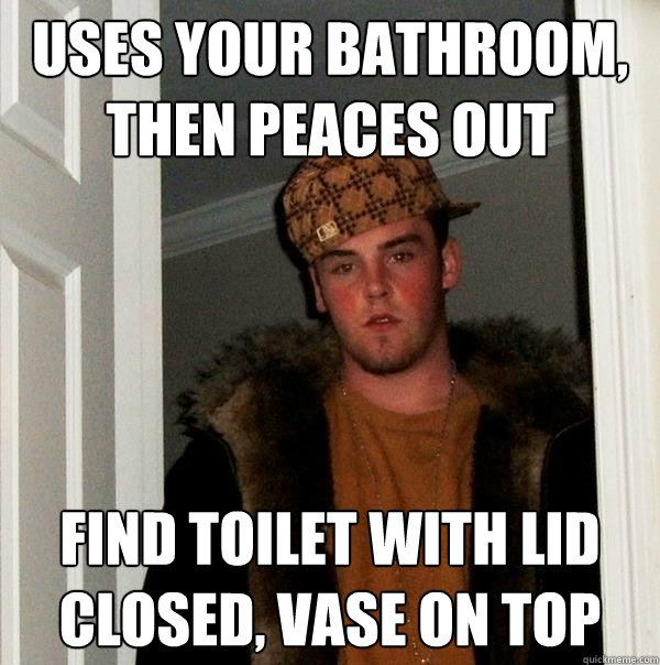 Uses your bathroom, then peaces out Find toilet with lid closed, vase on top - Uses your bathroom, then peaces out Find toilet with lid closed, vase on top  Scumbag Steve