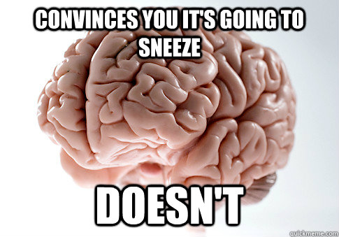 CONVINCES YOU IT'S GOING TO SNEEZE DOESN'T   Scumbag Brain